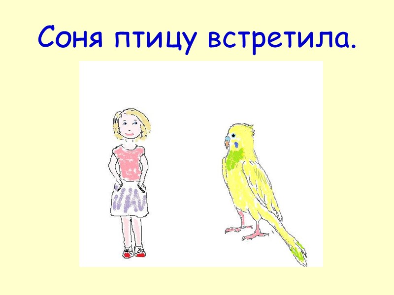 Соня птицу встретила.